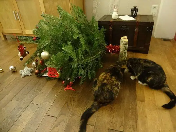 30 Dogs And Cats That Destroyed Christmas And Will Do It Again