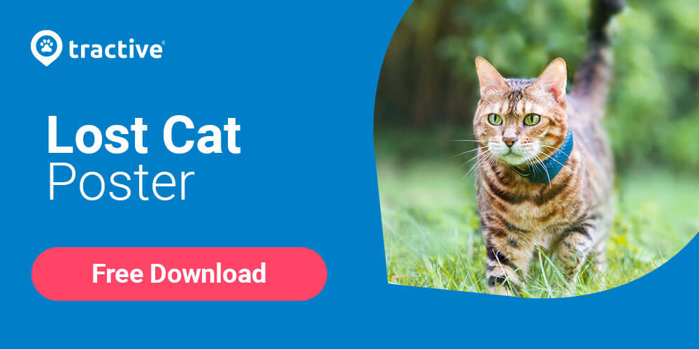 Lost cat poster free download from Tractive banner