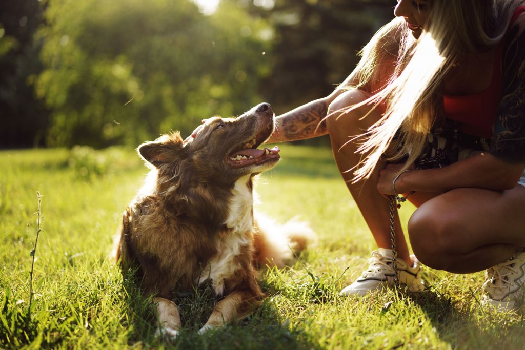 young woman kneeled down petting a brown dog which is laying on the grass outside in a park