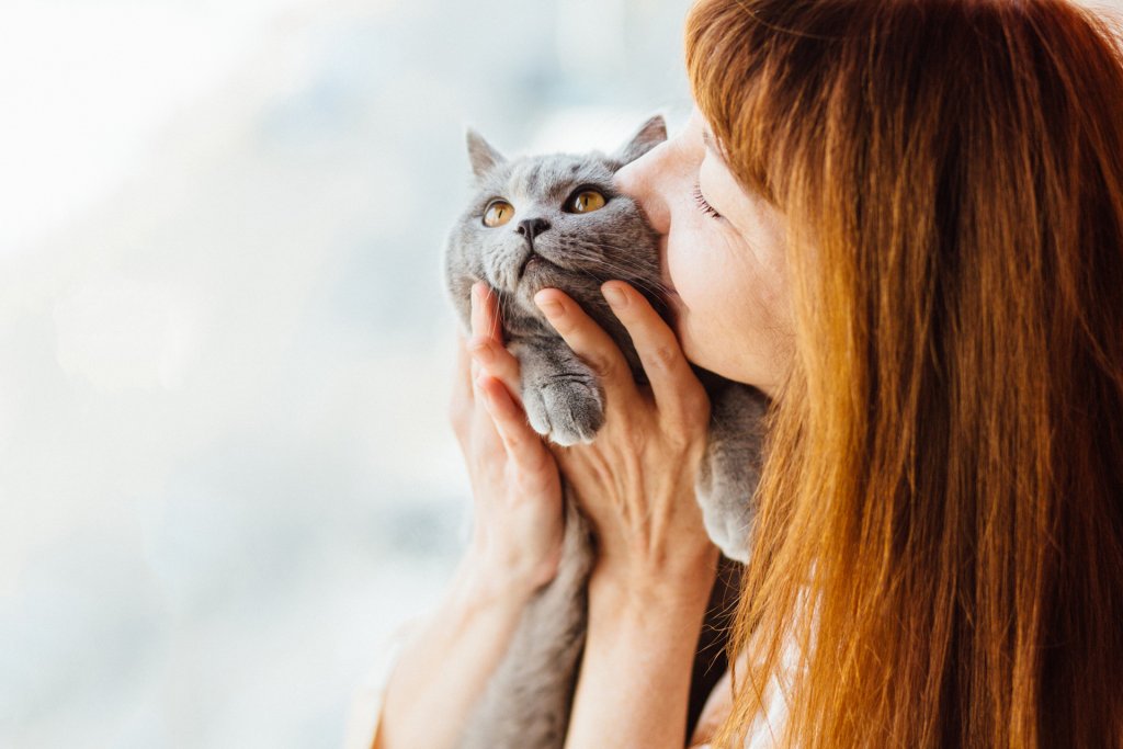 red haired woman holding and kissing grey cat