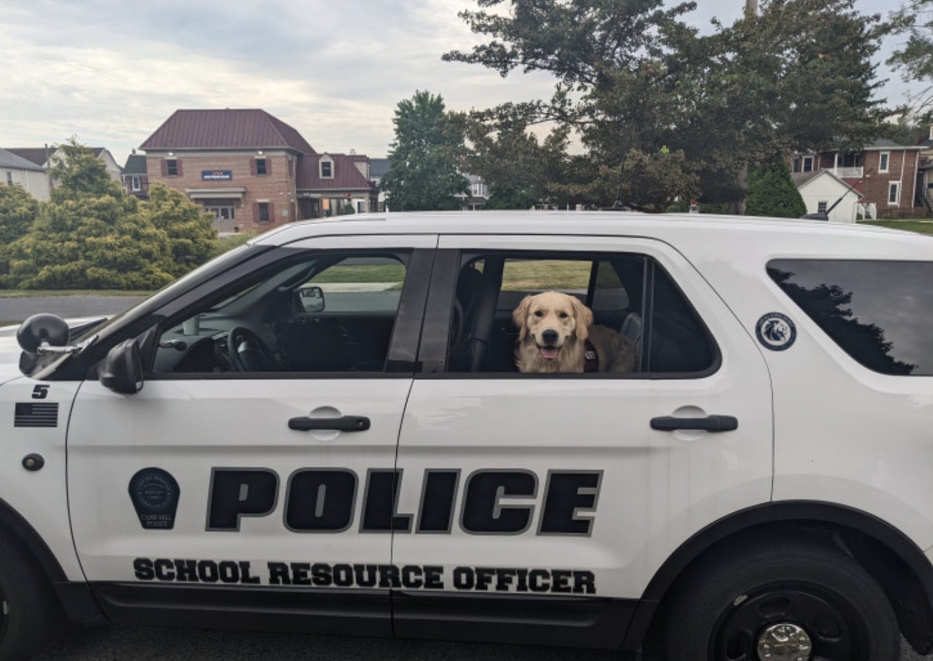 Beloved campus support K9 gets his own photo in the school yearbook